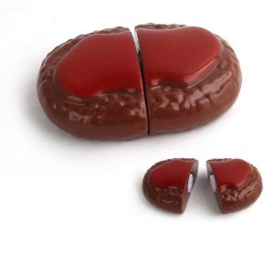 Deepwhisper ของเล่นพุดดิ้งตักได์ ของเล่นพุดดิ้งป้อนตุ๊กตา เค้ก diy ของเล่นพุดดิ้ง ของเล่นผู้ หญิง ของขวัญ ของขวัญวันเกิด เล่นบ้าน ตัดอาหาร ของเล่นคลาสสิก แกล้งเล่นของเล่น ของเล่นอาหารพลาสติก ตัดของเล่นอาหาร ตัดผลไม้ ของเล่นในครัว