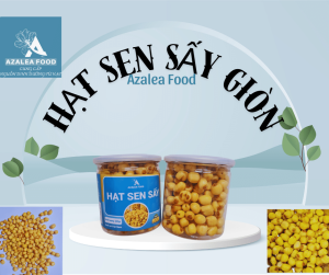Hạt sen tươi sấy giòn ăn liền 200g Thực phẩm H.Đ