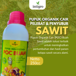 Obat Pelebat Buah Sawit / Pupuk Pelebat Buah Sawit / Pupuk Cair Pelebat Buah Sawit / Booster Sawit