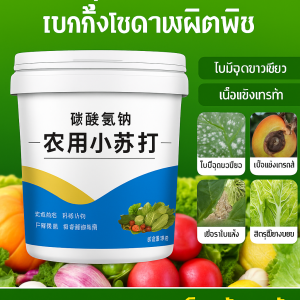 สารเพิ่มความแข็งแรงในการปลูกพืช กําจัดศัตรูพืช เบกกิ้งโซดา ปลูกผัก ต้นไม้ พืช ป้องกันแมลง เพิ่มการผลิต