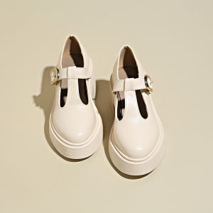 Foreign Trade High Heels Mary Jane Belt Buckle Platform Block Heel Fashion Single Shoes Small Leather Shoes Women