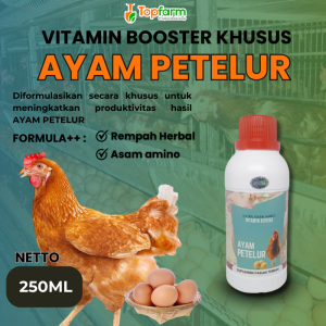 Vitamin Booster Ayam Petelur / Vitamin Produktifitas Ayam Petelur / Vitamin Ayam Petelur / Obat Ayam Cepat Bertelur / Vitamin Percepat Proses Produksi Ayam Petelur / Vitamin Herbal Ayam Petelur / Asam Amino Untuk Ayam Petelur