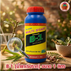 B-1 (น้ำยาเร่งราก) 1 ลิตร ของไทยแท้ (NNA)