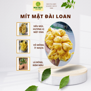 MÍT MẬT ĐÀI LOAN – Cây giống chuẩn dễ trồng ngọt mềm thơm ngon - MAI HUY SINCE 2008
