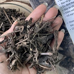 500g Nhân Trần Khô Thiện Thảo Mộc (Hàng Mới Khô Sạch) - Thanh Nhiệt Giải Độc Gan Bảo Vệ Gan Ổn Định Huyết Áp