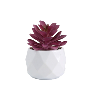 Artificial Succulent Plant Plastic Evergreen Succulents Bonsai Simulation Fake Cactus Potted Plants