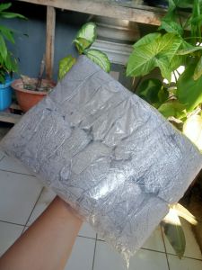 Abu Gosok 2 Ball isi 50 BKS/ Telor Asin/Cuci Piring/Tempat PUP Hewan / Sekam/Abu Gosok Asli Termurah