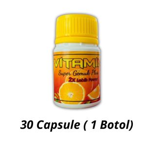 Weight Gain Supplement for Men and Women – Multivitamin with Whey Protein Powder and Zinc