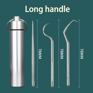 3PCS Toothpick Pocket Set Reusable Stainless Steel Tooth Cleaning Tools with Holder Case Waterproof Portable Tooth Picker for Outdoor Travel Picnic and Camping
