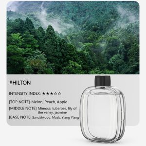 Aromatherapy Machine Automatic Spray Fragrance Household Bedroom Fragrance Machine Air Freshening Deodorizing Fragrance Diffuser