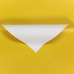 20 Lembar Flower Wrapping Paper Dua Warna Bi Color Kertas Buket Bunga Florist Cellophane KB6204