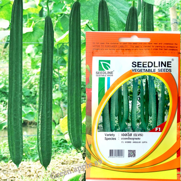 เมล็ดพันธุ์บวบรวมชนิด บวบหอม บวบเหลี่ยม บวบงู บวบซูกินี