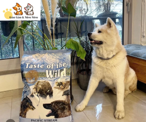 Thức ăn chó TASTE OF THE WILD [BAO NGUYÊN SEAL 12.2kg] cá hồi chó trưởng thành