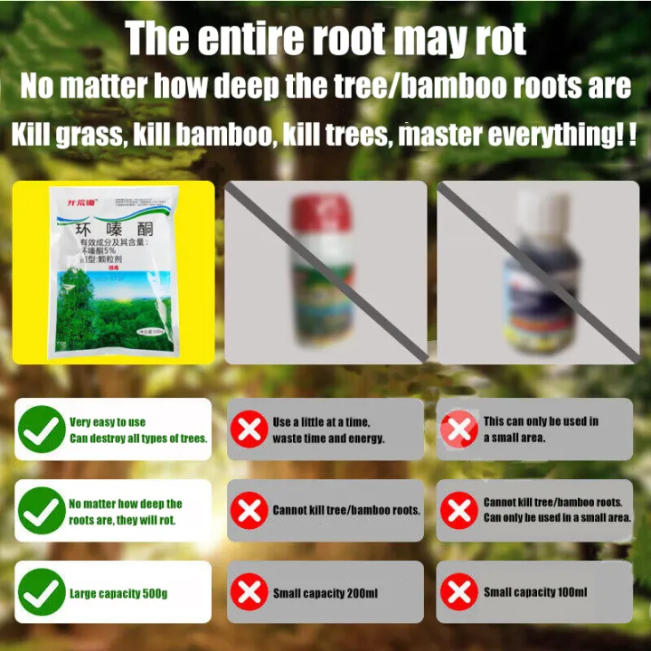 interesting !! teach me algorithm by python. 🌟... 🔥1000% tree destruction!🌲racun pokok kayu besar Eliminating century-old ...