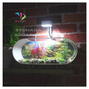 [COD] 1 SET AQUARIUM MINI PVC PLUS POMPA AERATOR DAN LAMPU LED AKUARIUM CUPANG GUPPY DEKORASI AQUARIUM MINIMALIS (M01)
