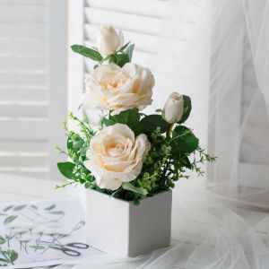 Chậu Hoa Để Bàn Hoa Trang Trí Bàn Trà Phòng Khách Kệ Tủ Làm Quà Tặng Ý Nghĩa Cao 25cm DC-129