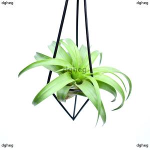 [COD] dgheg Metal Geometric Hanging Air Plant Holder Rack Air Pineapple Iron Hanging Support