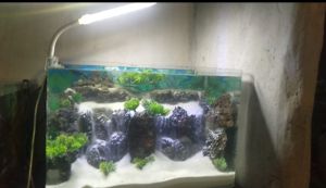 Thác cát – suối  cát hồ thủy sinh