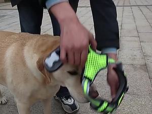 FCROJECO Breathable Dog Harness Reflective Dog Vest HarnessLeash Harness For Dogs Adjustable Dog Harnesses with Walking Lead