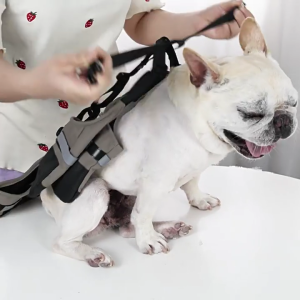 AntiSlip Pet Dog Booties Waterproof Dog Outdoor Shoes Paw Protectors for Walking Running Dogs Footwear Comfortable Shoes