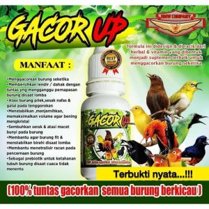 BMW Gacor Up 10ml Penggacor Vitamin Suplemen Burung Kicau