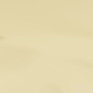 Baby Trumpet Childrens Toy Trumpet Baby BlowHarmonica Baby Whistle Musical Instrument Whistle