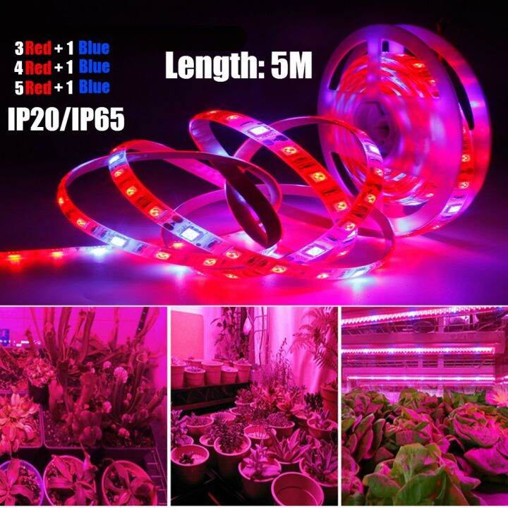 5 Meters 12V Full Spectrum Led Grow Light Strip Red Blue Growing