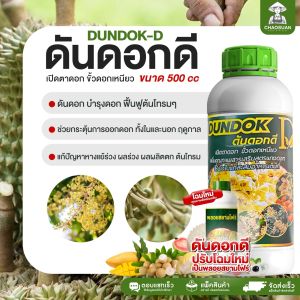 ดันดอกดี ขนาดทดลอง สารสกัดกระตุ้นการเปิดตาดอก ออกดอกไว ออกดอกดก ช่วยเร่งแทงยอด เร่งออกดอก ติดดก ติดผล