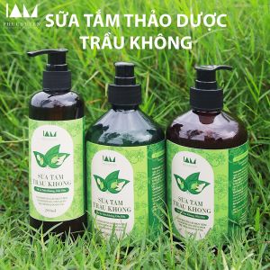Sữa tắm thảo dượᴄ nghệ gừng ngăn bệnh ngứa da vẩy nến bonɡ tróc da do dị ứng 500ml