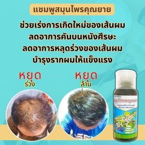 แชมพูสมุนไพรคุณยาย ผมหลุดร่วง ขาดง่าย คัน รังแค เชื้อรา กระตุ้นผมเกิดใหม่