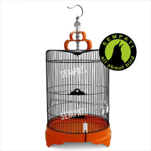 SEMPATI Sangkar Kandang Burung Murai Jumbo Fullset 46cm Tebok Pvc Tebal Besi Import Sangkar Kandang Burung Murai Poksay Kacer Cucak Ijo Jalak