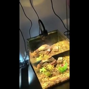Aquarium Plant LED Spotlight - USB-Plug Waterproof Three-Color Timing Mini Light with Clip Zoomable