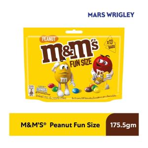 M&M’s Peanut Chocolate Fun Size 175.5G