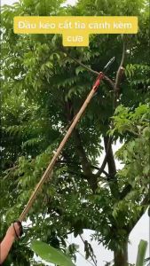 Kéo Cắt Cành - Kéo Tỉa Cành Trên CAO Đa Năng 3IN1 Kèm Cưa Tiện Dụng Cho Mọi Gia Đình Có Cây Cối