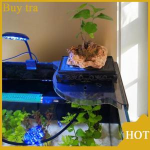[Buytra] Bể cá góc lưu trữ giá đục lỗ miễn phí lưu trữ Giá bể cá cảnh quan hàng đầu khung thủy canh cây xanh khay