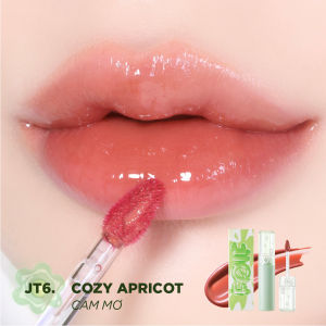 [NEW][JT1-JT10] Son Tint Bóng Thuần Chay Ẩm Mọng Bền Màu FOIF Juicy Fit Tint 3g