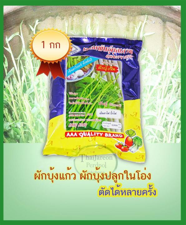 10 อันดับเมล็ดพันธุ์ผักสวนครัวน่าปลูกปี 2026: ปลูกง่าย โตไว เก็บเกี่ยวได้ทั้งปี!