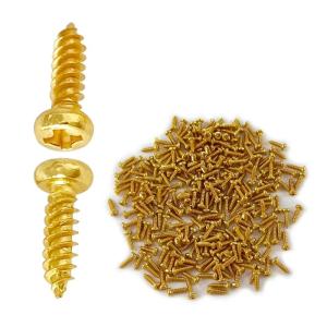 100 cái Tấm Pickguard đàn guitar ốc vít bộ ốc vít thay thế miếng nhựa dán trên đàn bass guitar ốc vít cho miếng nhựa dán trên đàn bass Đàn Ghi-ta Bass điện