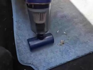 เครื่องดูดฝุ่นในรถยนต์ Tools พลังดูดสูงสุด มาพร้อมหัวฉีดและตัวกรอง เครื่องดูดฝุ่นไร้สาย เครื่ เครื่องดูดฝุ่นขนาดเล็ก