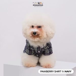 POMAPOO - Baju Kucing dan Baju Anjing Pawberry Shirt