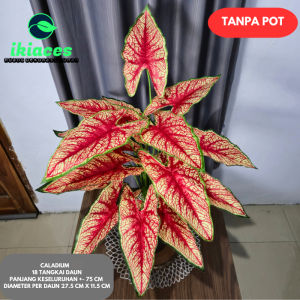 DAUN KELADI PLASTIK JUMBO DAUN CALADIUM ARTIFISIAL DEKORASI BUNGA HIAS PALSU DEKOR TANAMAN POJOKAN RUMAH JUMBO
