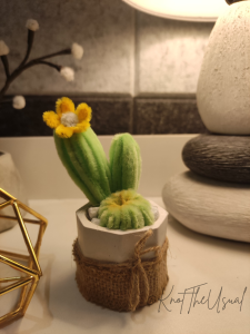 Mini Cactus Pot (Souvenirs Gift Idea Aesthetic Home Decorations)