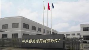 ซีลกลไก Rovara LOWARA-12/16/22 ซีลปั๊มน้ำ Xylem ปั๊มหลายระดับ ซีลน้ำแนวตั้ง