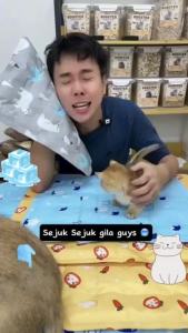 Cooling Mat Pad Dog Cat Pads Bed Water Blanket Sofa Ice Silk Car Tikar Tilam Kucing 宠物冰丝垫