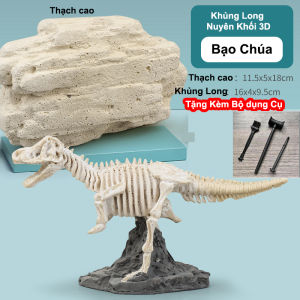 Bộ đồ chơi giáo dục STEAM Đào Hóa Thạch Khảo cổ khủng long Hình khủng long 3D đẹp độc lạ