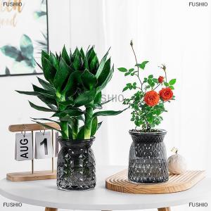 [COD] FUSHI0 Mini Tự Tưới Nước Chậu Hoa Bể Cá Nhựa Trong Suốt Nhà Máy Chậu Tự Tưới Nước Trồng Chậu Bình Cho Trang Trí Nội Thất