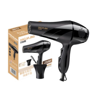 Blower Hair Dryer 2 in 1 Hot and Cold Hair Blower Dryer Low Noise Design Portable Travel Blower Pet Hair Dryer#pf133#lf037
