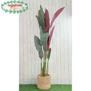 Pohon Artificial Daun Calathea Ungu T150 Latex Pot Dasar Hitam Cover Eceng Gondok Dekorasi Ruang Tamu