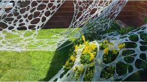 Halloween Spider Web Decorations with Spiders Cobwebs Halloween Decorations Super Stretch Cobwebs for Halloween Party Supplie