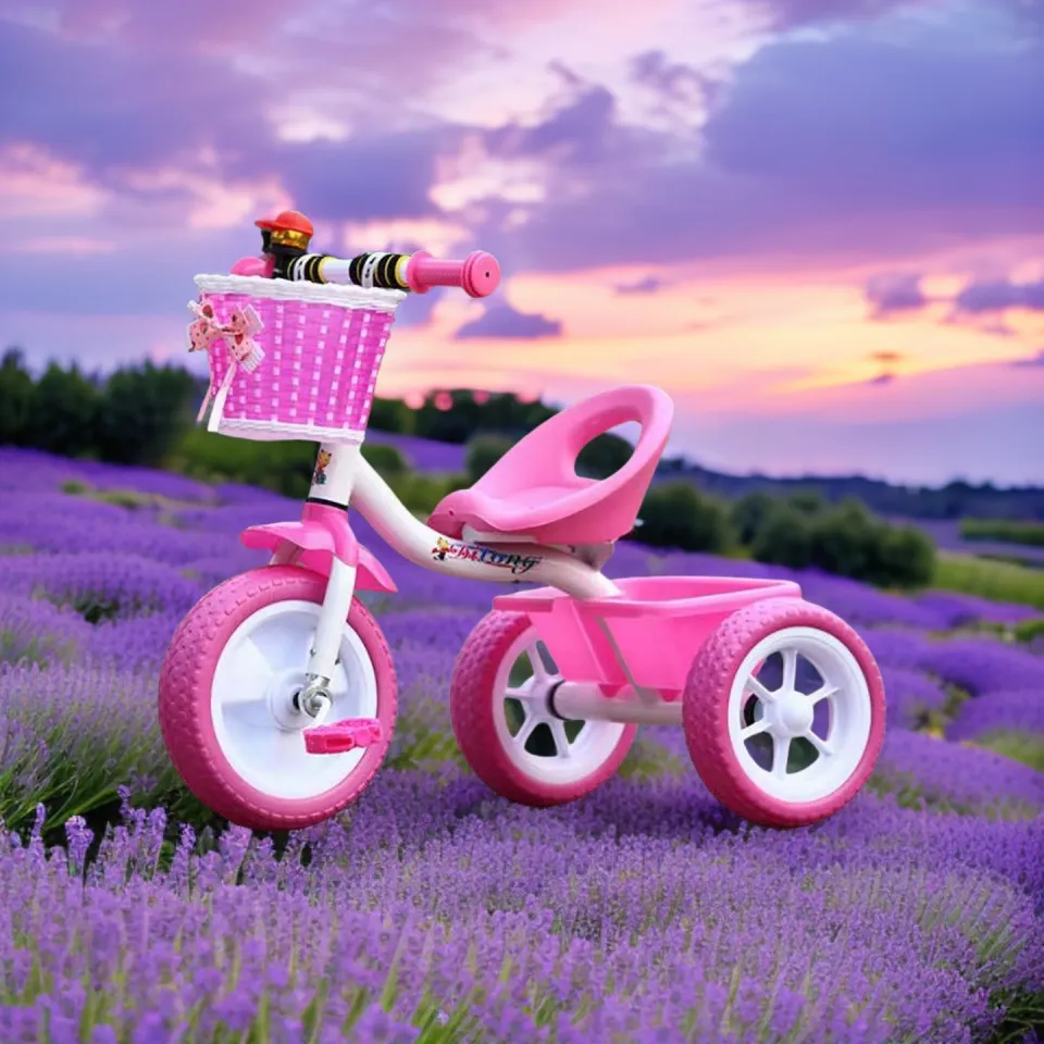 Bicycle Girls Tricycle Girls Raleigh Tricycle 0714 563 766 Kids